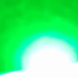 Meet your Posher, Peyton